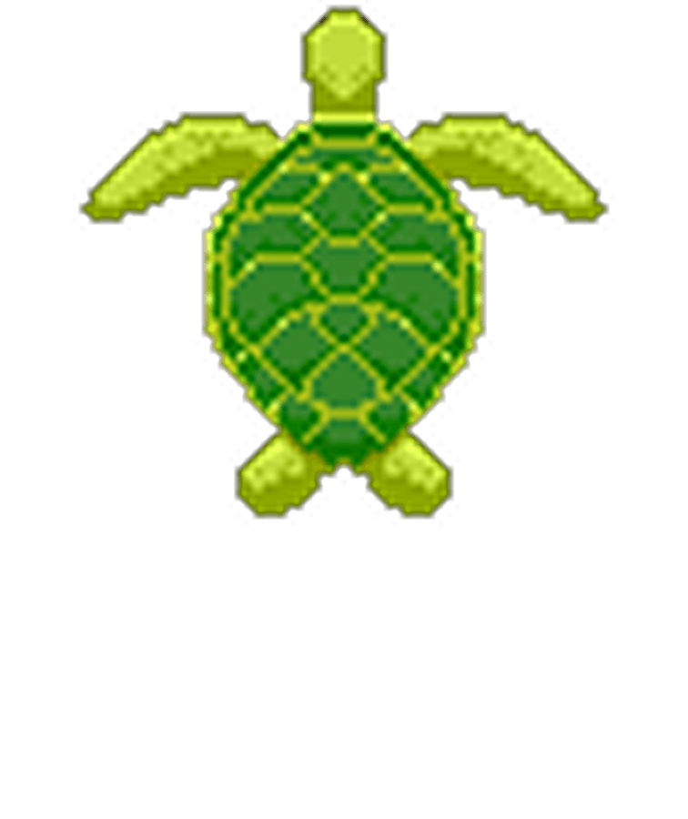 Mom Turtle player sprite from Finding Tuki